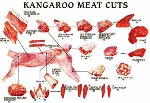 kangaroo-meat