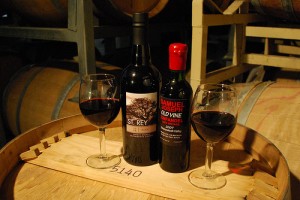 New ports at Revolution Wine